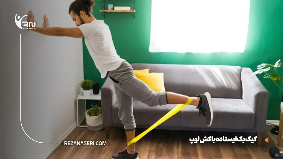 کیک بک ایستاده با کش لوپ